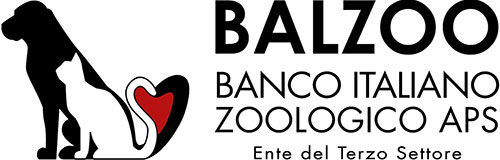 Balzoo